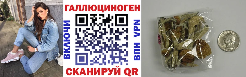 гидра ONION Янаул Галлюциногенные грибы Magic Shrooms